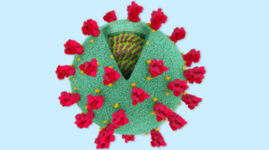 Bad News Wrapped in Protein: Inside the Coronavirus Genome
